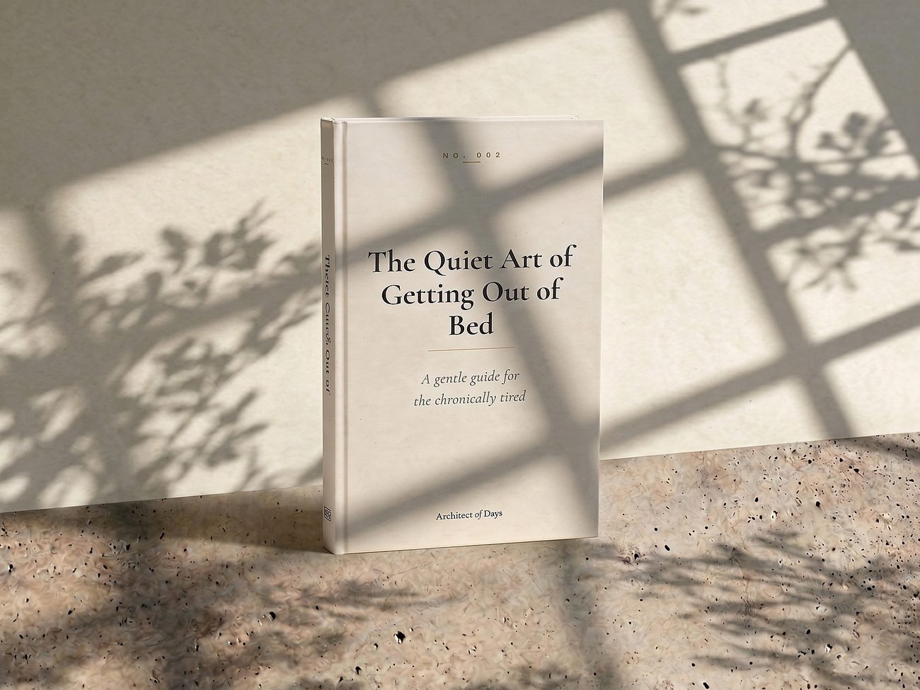 The Quiet Art of Getting Out of Bed, hardcover in window light