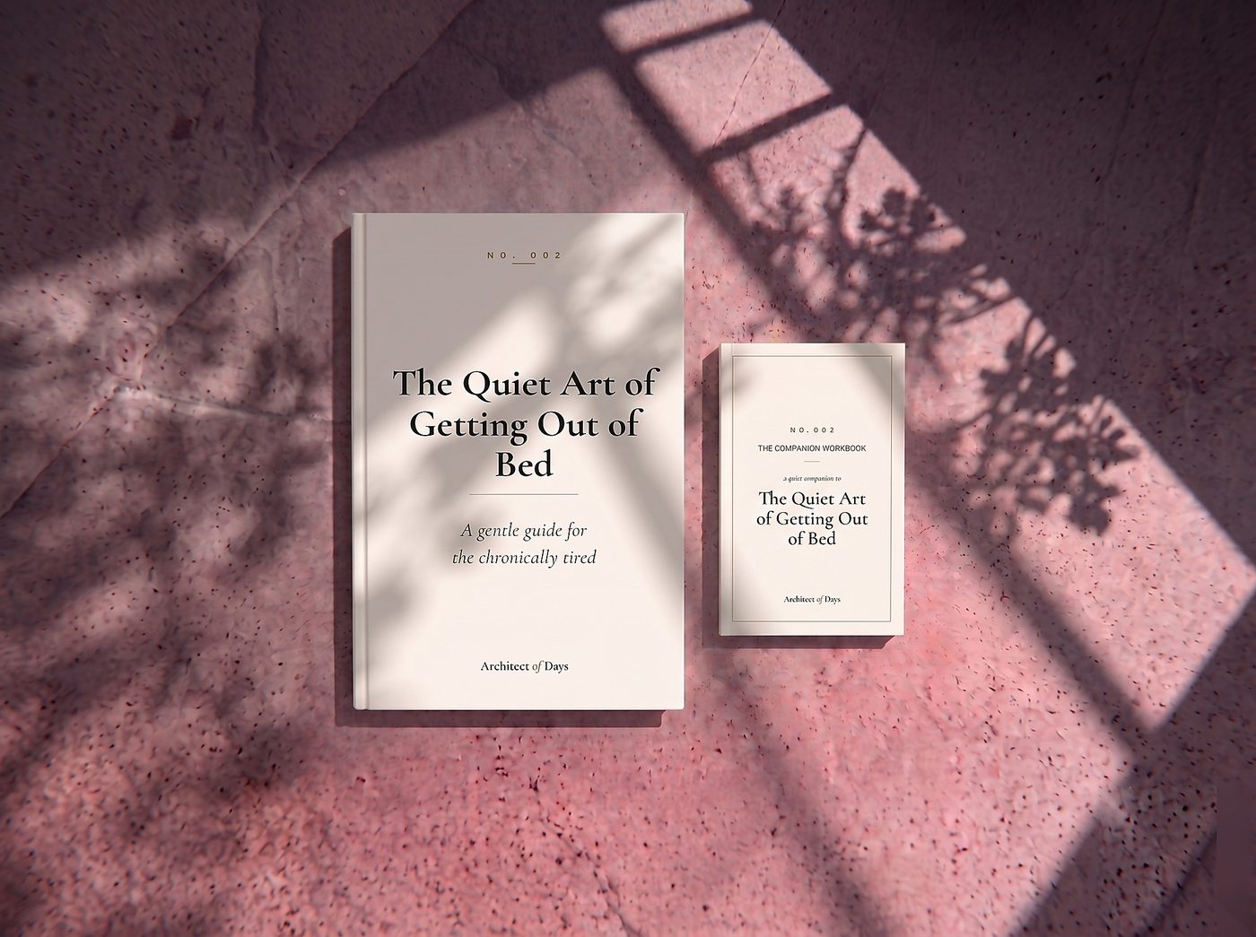 The Quiet Art of Getting Out of Bed and its companion workbook